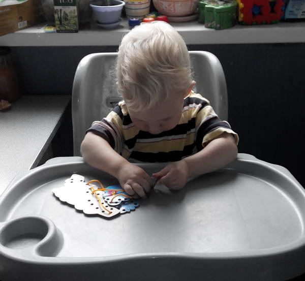 ТЗ 28 Дождик Шичида. 1г 10 мес