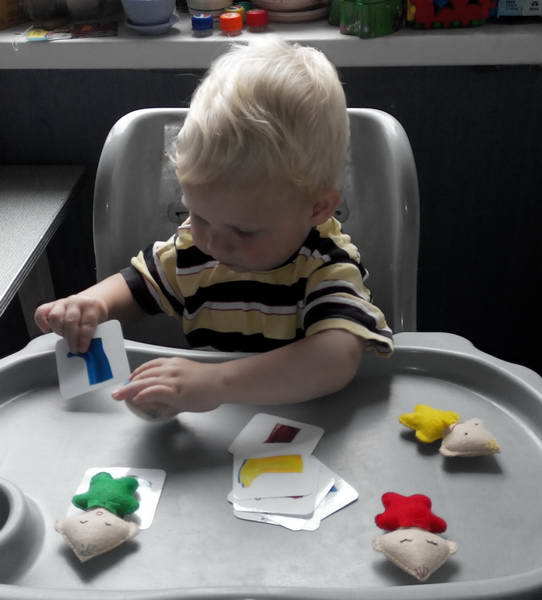 ТЗ 28 Дождик Шичида. 1г 10 мес