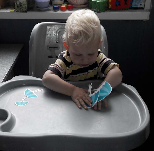 ТЗ 28 Дождик Шичида. 1г 10 мес