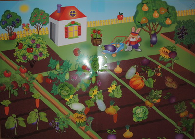 ТН 20 Как растут овощи. 1г 9 мес.