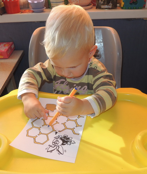 ТН 20 Как растут овощи. 1г 9 мес.