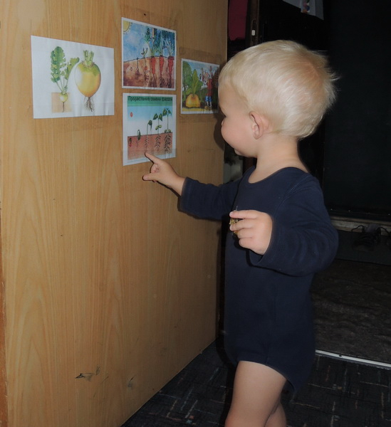 ТН 20 Как растут овощи. 1г 9 мес.