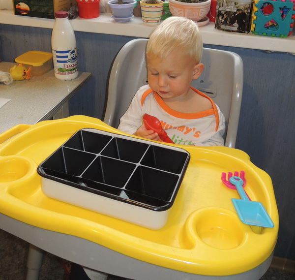 ТН 20 Как растут овощи. 1г 9 мес.