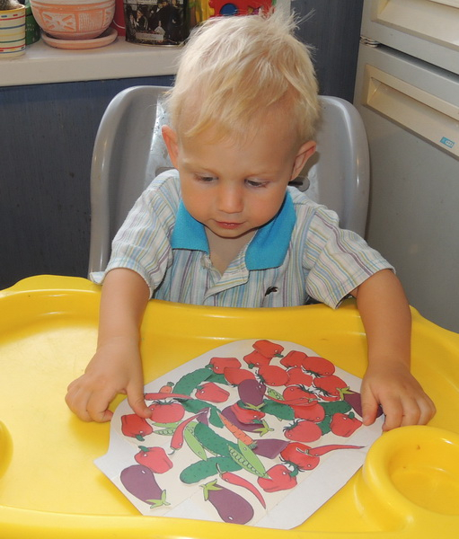 ТН 20 Как растут овощи. 1г 9 мес.