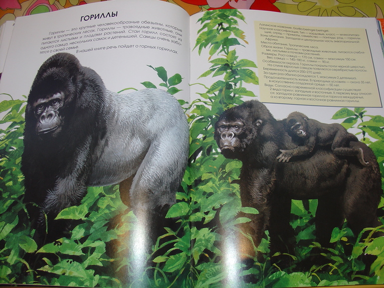 Мир животных, энциклопедия.