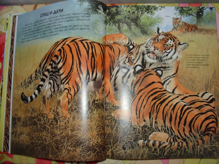 Мир животных, энциклопедия.