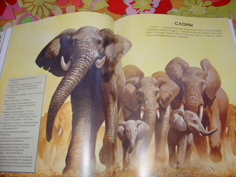 Мир животных, энциклопедия.