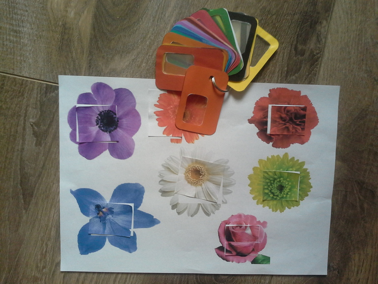 Цветное удовольствие (Шичида для малышей)