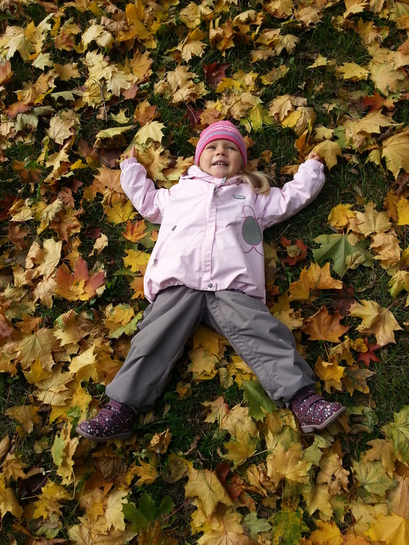 ТН Времена Года. Осень.