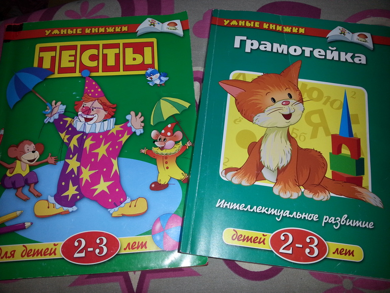 Игрушки и развивающие пособия