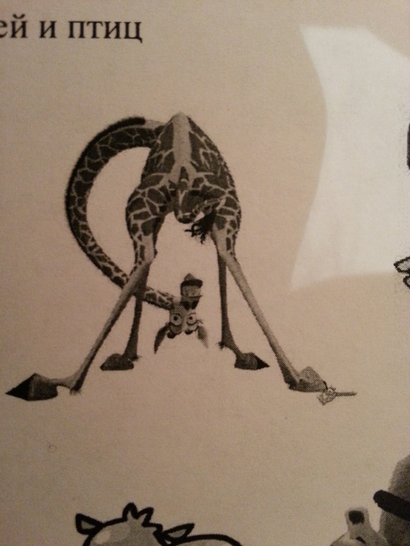 ТН Африка. Экваториальные леса.