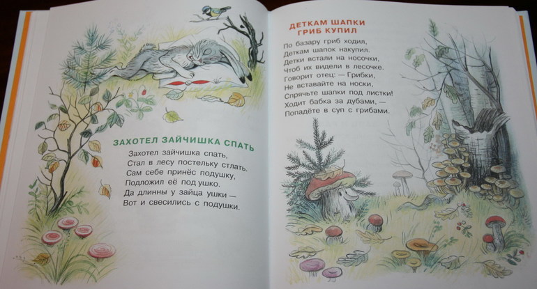 Наши книги с Сутеевым