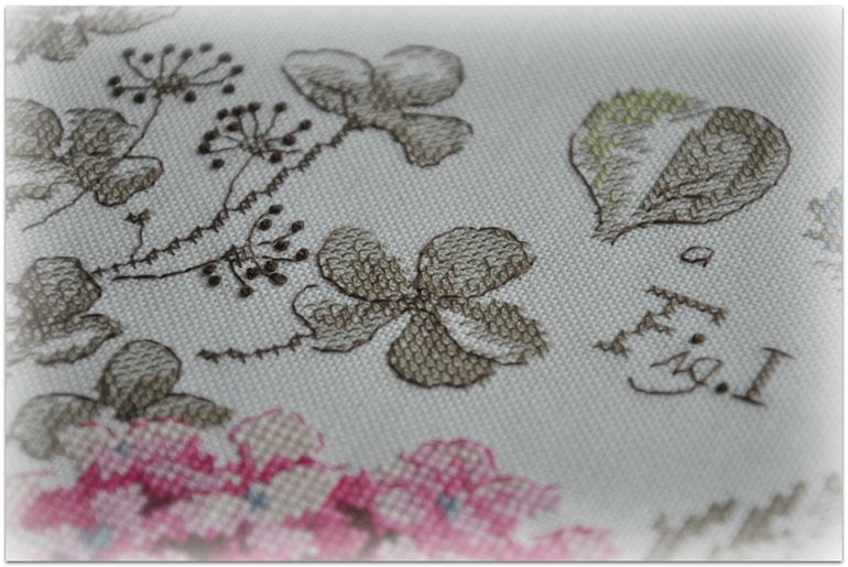 Гортензия, Véronique Enginger