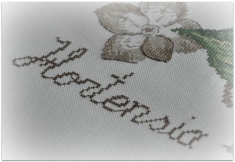 Гортензия, Véronique Enginger