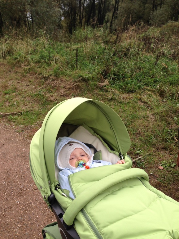 Утеплились