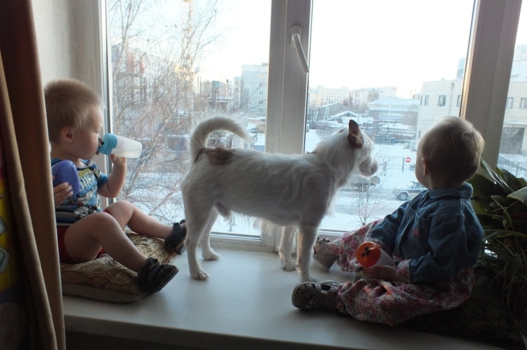 Частоболеющие дети