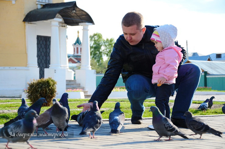 Майский воздух Коломны