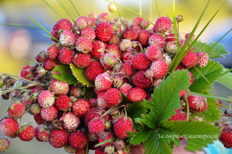 Вечер на Бежином лугу...