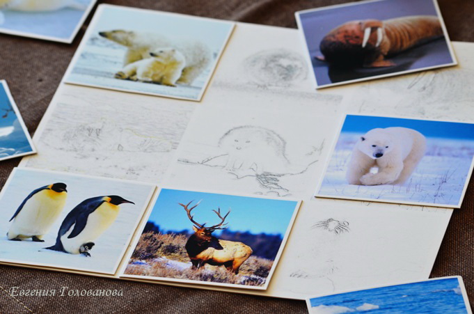 Околозимняя тема и контурное лото