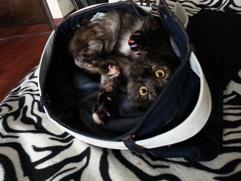 Моя девочка!!!!!