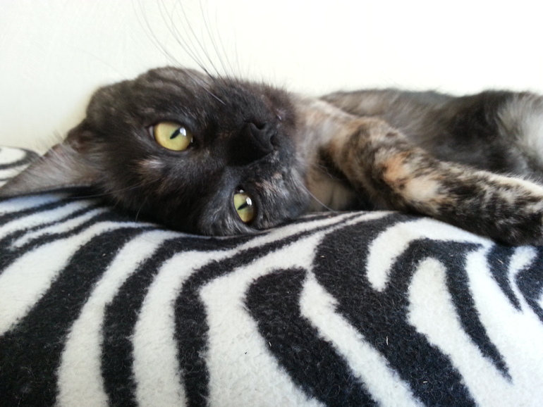 Моя девочка!!!!!