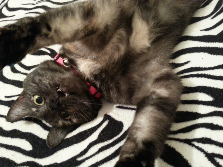 Моя девочка!!!!!