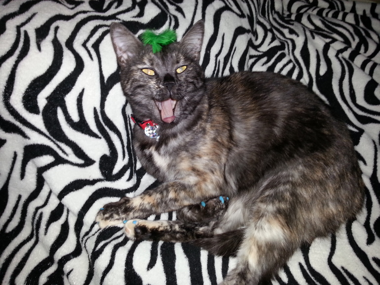 Моя девочка!!!!!