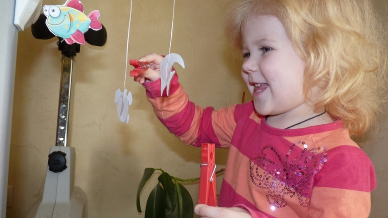 ТН Море: краб и черепаха. День 4