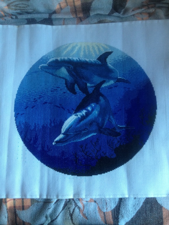 Дельфины от РТО