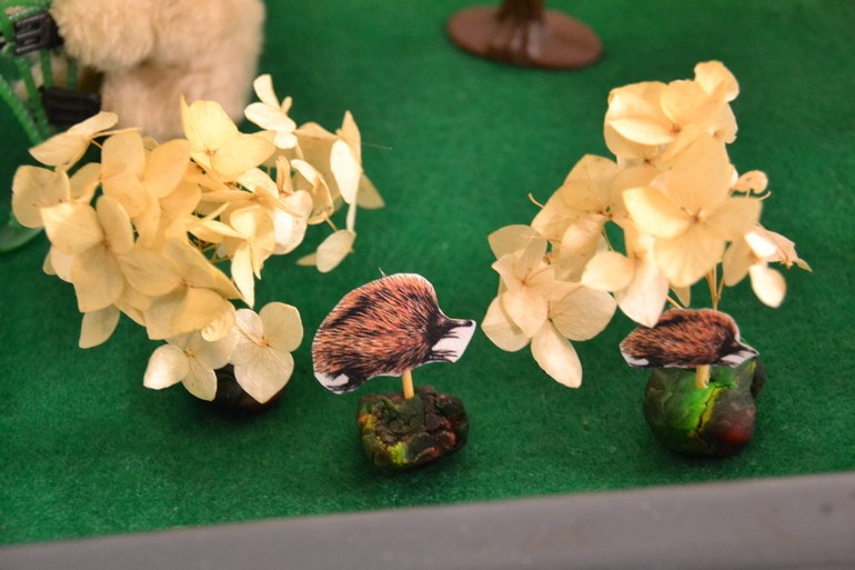 ТН Австралия