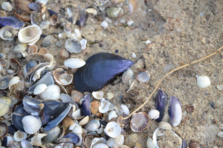 Пляжные игры