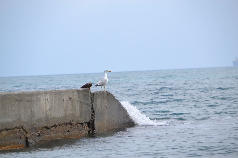 Пляжные игры