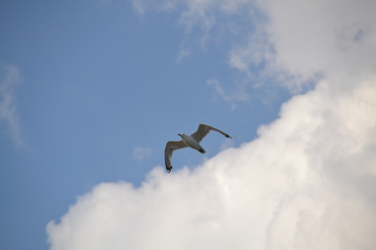 Пляжные игры