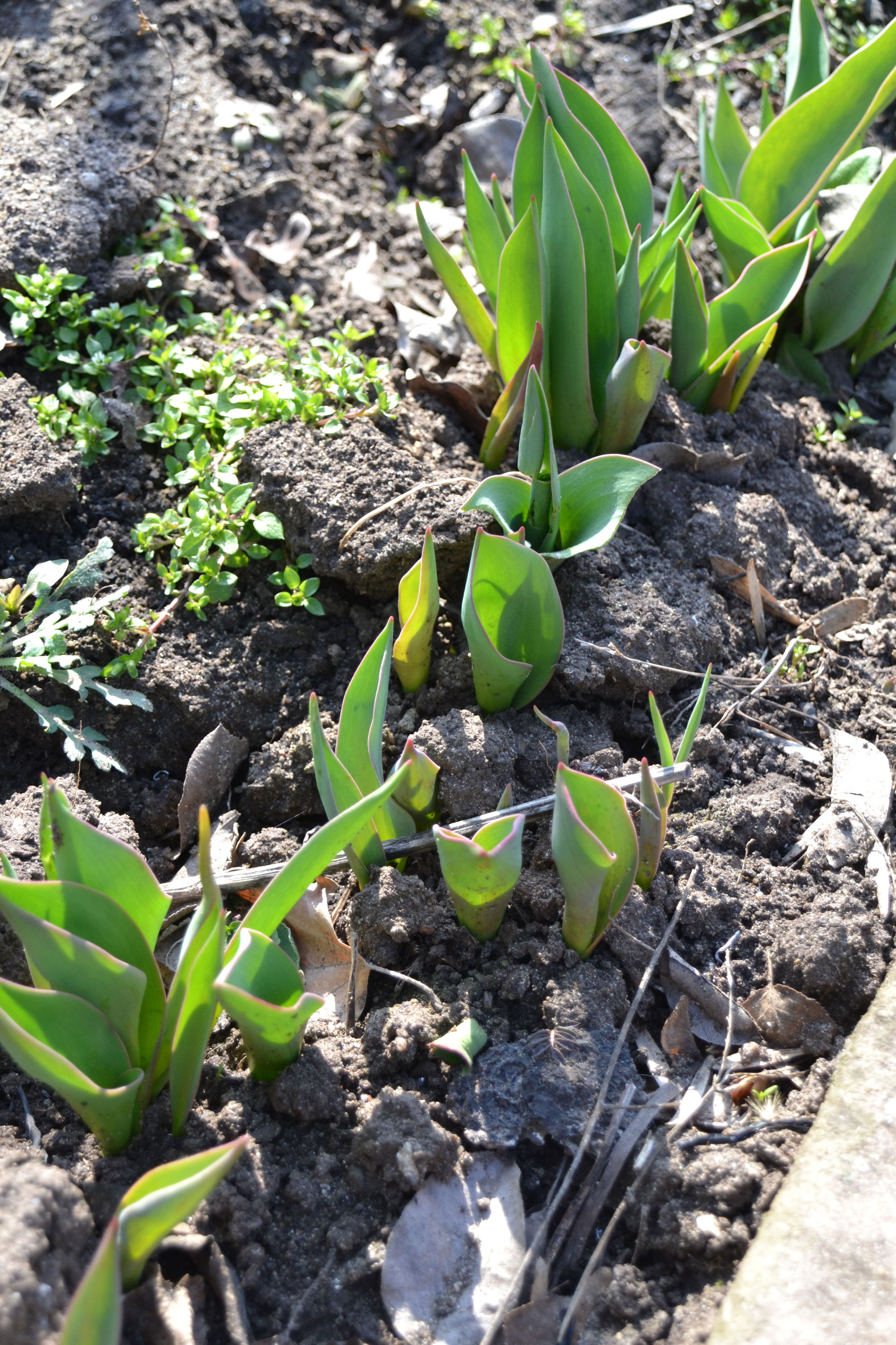 Ближе к природе