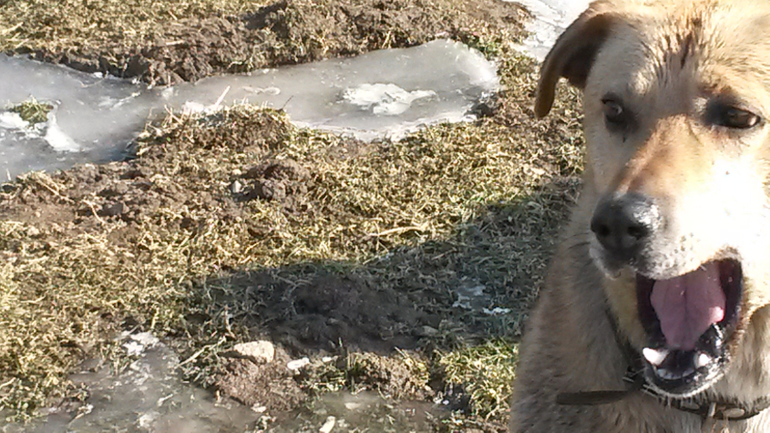 с наступающей!