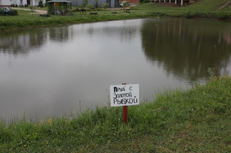 День Рождения Сашульки