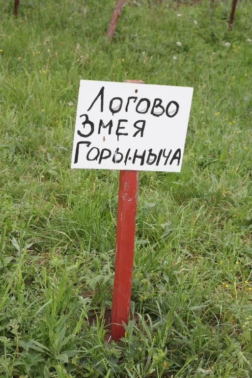 День Рождения Сашульки