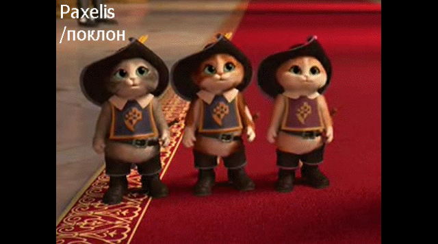 30 дней вокруг света – Глава 29 – Автора, Автора на сцену...