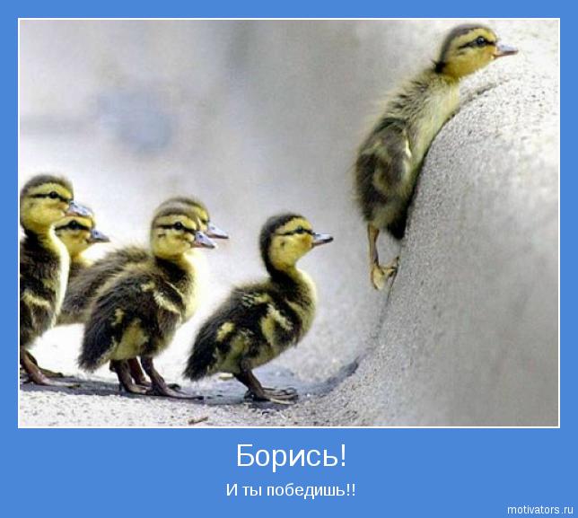 30 дней вокруг света – Глава 18 - Мчим...