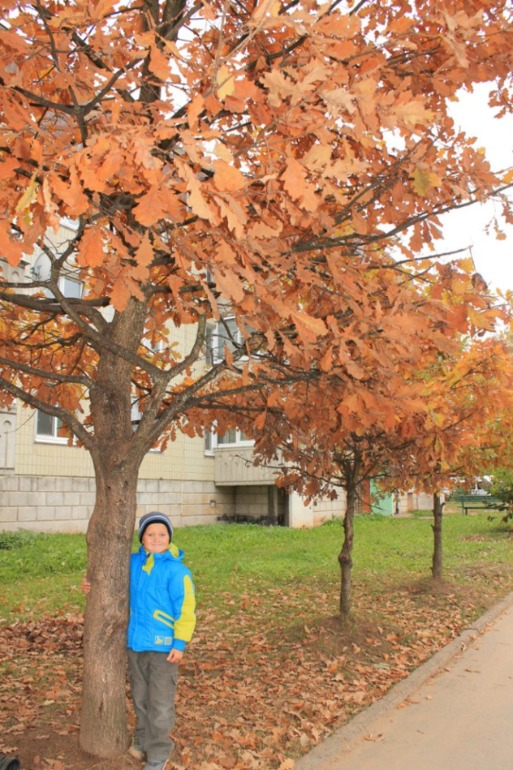 И у нас наступила золотая осень