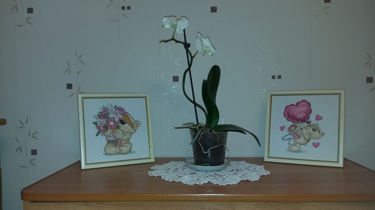 Оформила своих мишек Fizzy Moon