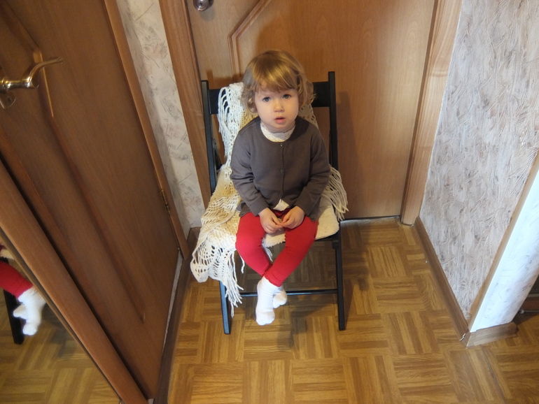 Театр теней. Спектакли про насекомых