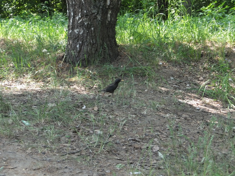 Новая эпоха...