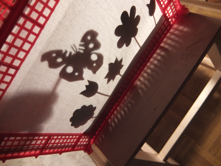 Театр теней. Спектакли про насекомых