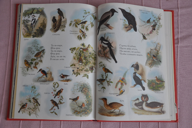 Весенние книги и произведения, 2 - 3 года