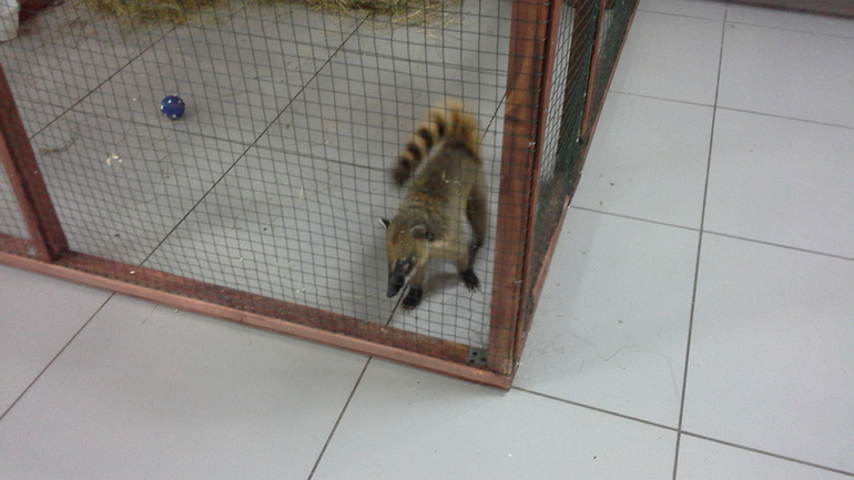 Про Любин ДР