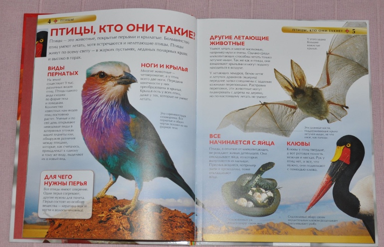 Весенние книги и произведения, 2 - 3 года