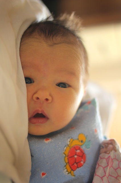 Наша моська