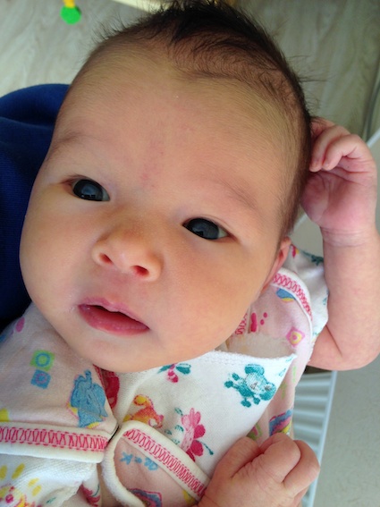 Наша моська