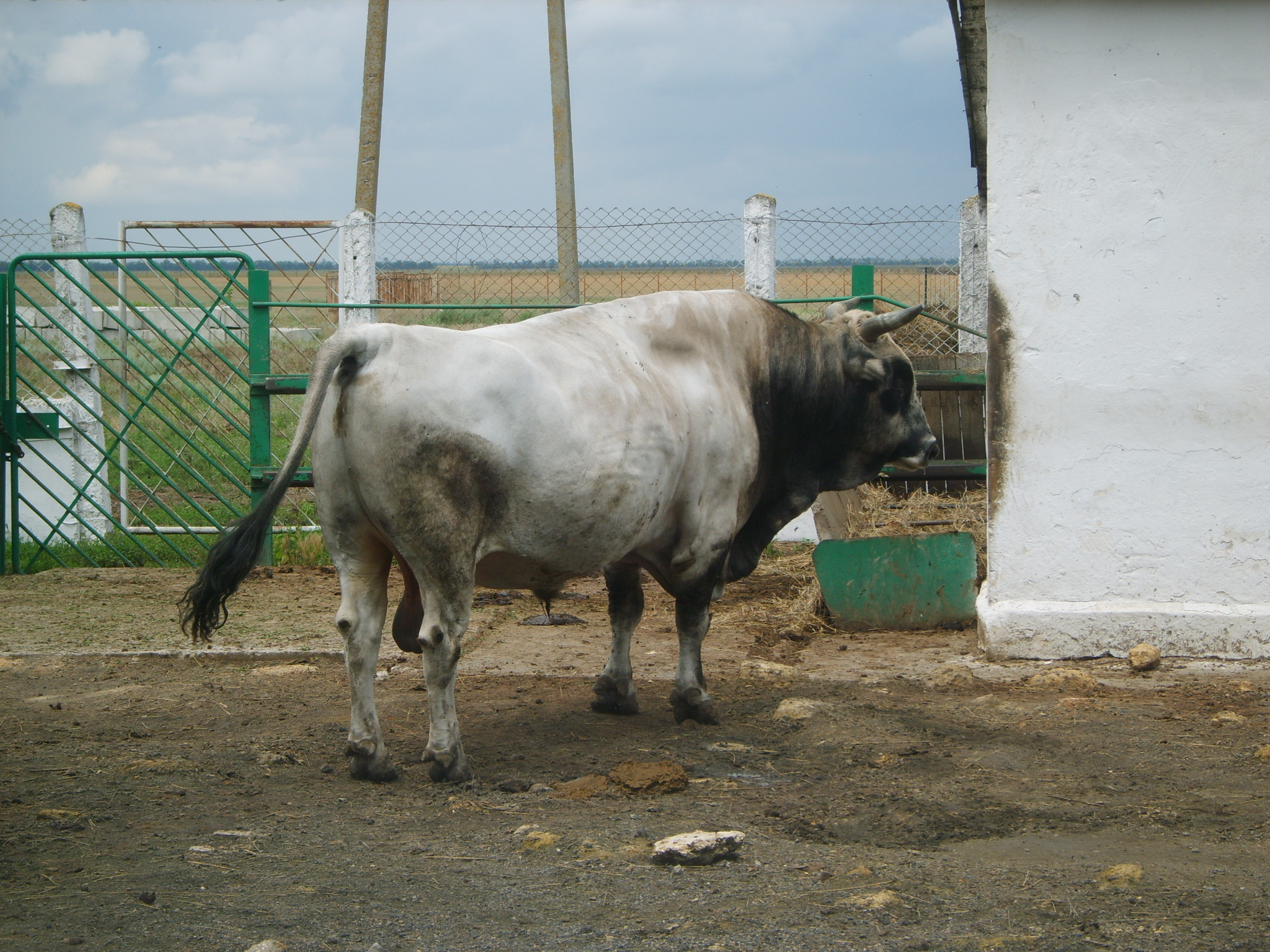 Порт Хорли (Херсонська обл) та Асканія-Нова